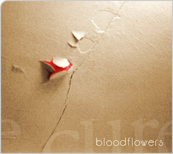 BloodFlowers CD Redesign