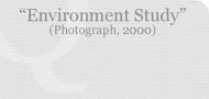 Environment Study (Photograph, 2000)