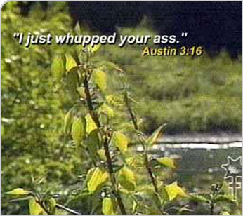 Austin 3:16