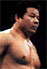 Tatsumi Fujinami