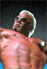 Scott Steiner is a freak